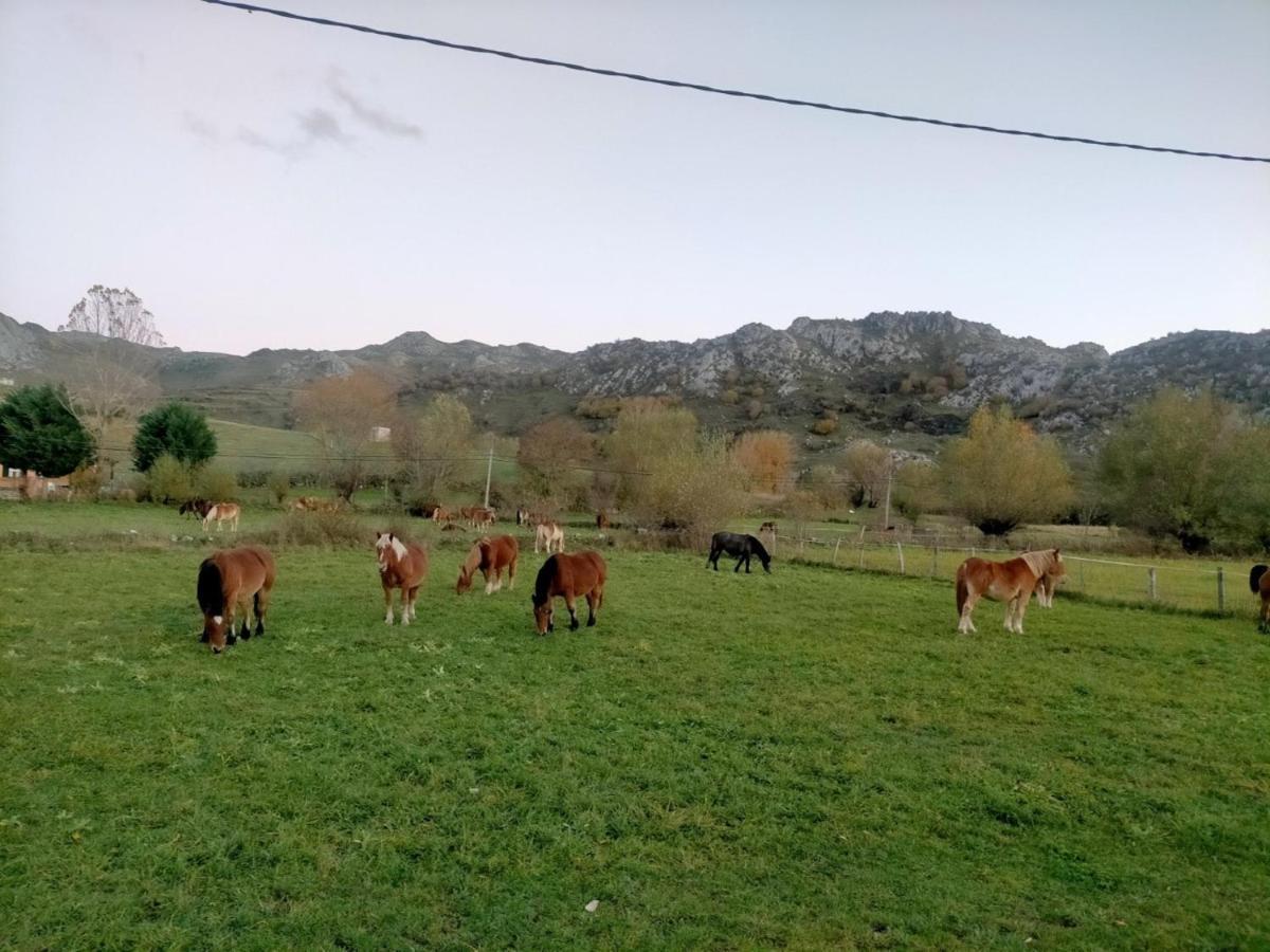 Turismo En Babia Bajo Los Nidos San Emiliano المظهر الخارجي الصورة